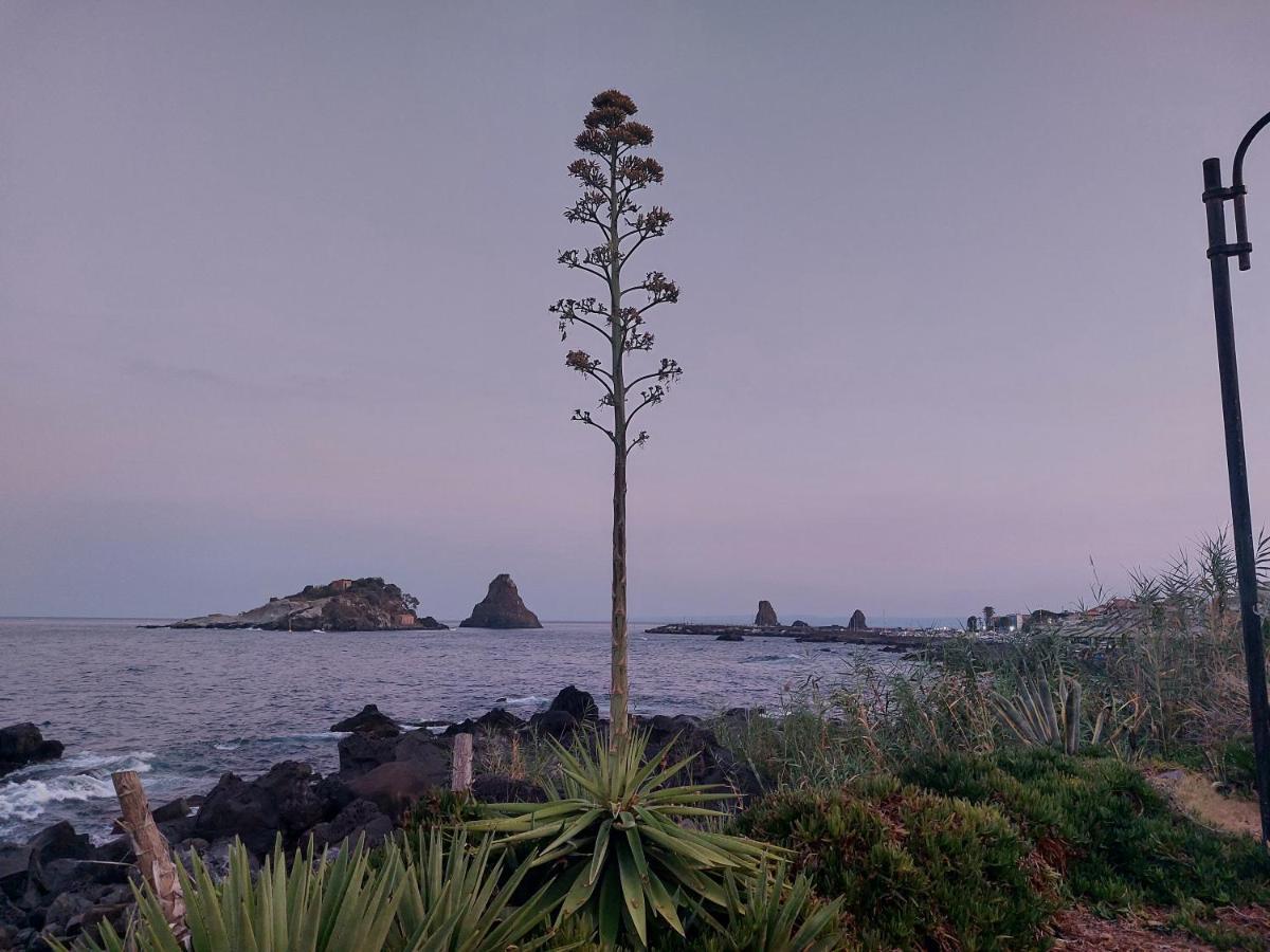 Stella Di Mare Apartment Aci Castello Luaran gambar